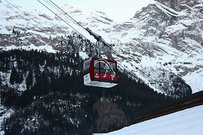 Ternelia - Le Telemark