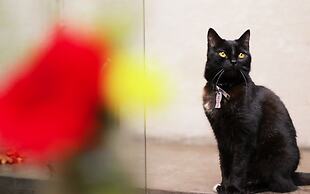 Home Hotel Buenos Aires