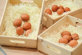 Kagoshima Plaza Hotel Tenmonkan