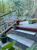 Kasauli Exotica