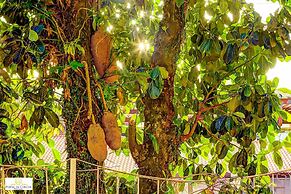 Pousada Portal da Concha