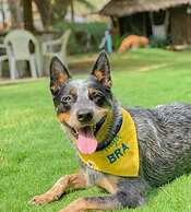 Pousada dos Coqueiros