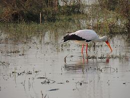 Shayamoya Tiger Fishing and Game Lodge