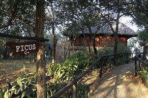 Shayamoya Tiger Fishing and Game Lodge