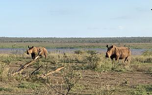 Shayamoya Tiger Fishing and Game Lodge