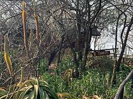 Shayamoya Tiger Fishing and Game Lodge