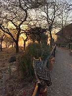 Shayamoya Tiger Fishing and Game Lodge