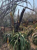 Shayamoya Tiger Fishing and Game Lodge