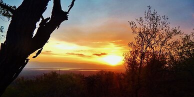 Shayamoya Tiger Fishing and Game Lodge