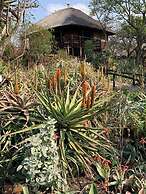 Shayamoya Tiger Fishing and Game Lodge