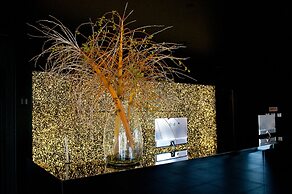 Evidencia Belverde Hotel