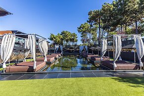 Evidencia Belverde Hotel