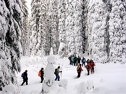 The Bulldog Hotel Silver Star