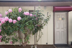 Cherry Tree Inn Victoria