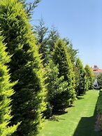 Yasemin Alacati - Adult Only