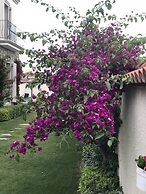 Yasemin Alacati - Adult Only