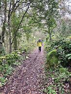 Cooking and Nature Emotional Hotel