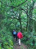 Cooking and Nature Emotional Hotel