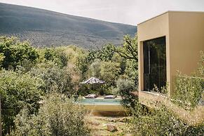 Cooking and Nature Emotional Hotel