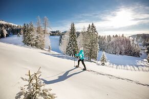 Almwellness Hotel Pierer