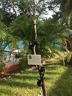 Buccaneer Beach Club