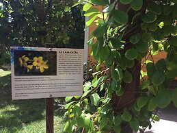 Buccaneer Beach Club