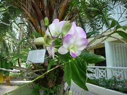 Buccaneer Beach Club