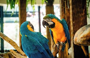 Hotel Vila Germanica