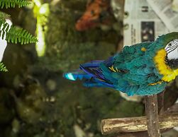 Hotel Vila Germanica