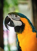 Hotel Vila Germanica