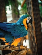 Hotel Vila Germanica