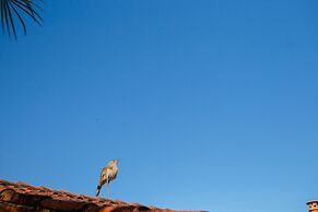 VOA Mirante Do Café