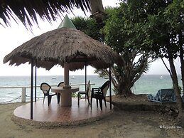 Asian Belgian Resort