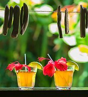 Hibiscus Valley Inn