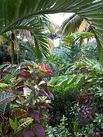 Hibiscus Valley Inn