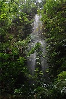 Hibiscus Valley Inn