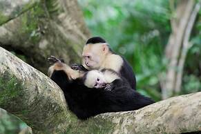 Hotel Villabosque Eco Boutique