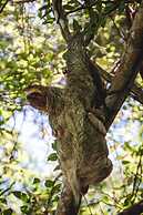 Hotel Villabosque Eco Boutique