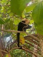 Hotel Villabosque Eco Boutique