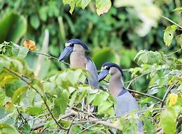 Hotel Villabosque Eco Boutique