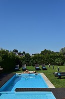 Solar Egas Moniz Charming House & Local Experiences