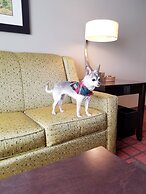 Homewood Suites by Hilton Calgary-Airport, Alberta, Canada