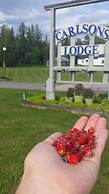 Carlson's Lodge