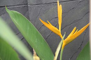 Popular Boutique Hotel