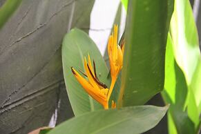 Popular Boutique Hotel