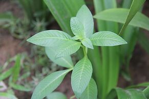 Popular Boutique Hotel