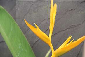 Popular Boutique Hotel