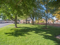 Shasta Pines Motel & Suites