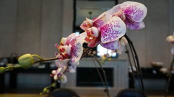 Park Hyatt Changbaishan