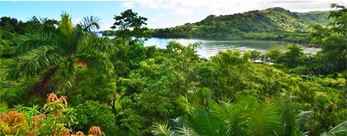 Bay View Eco Resort & Spa